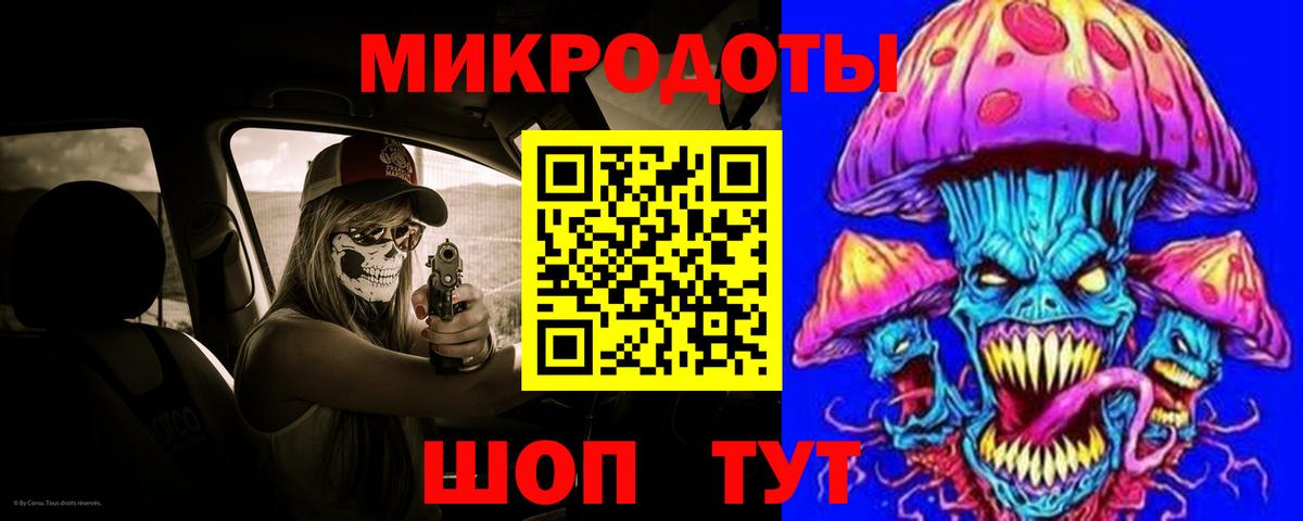 Псилоцибиновые грибы Psilocybe Павловский Посад